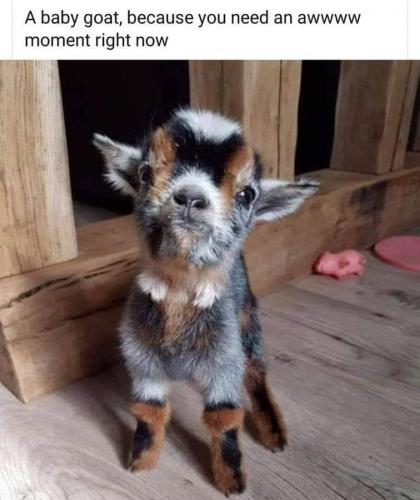 180561088_4023412561035152_7697900464175236577_n