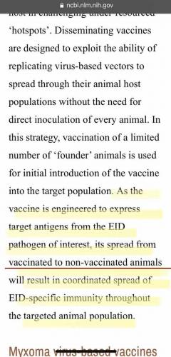 05:52:23 GMT-0400 (EDT).image