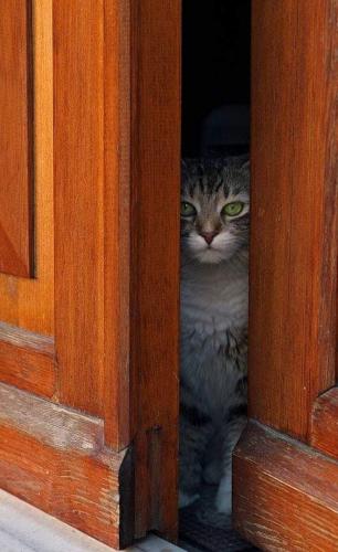 22:04:15 GMT-0500 (CDT)