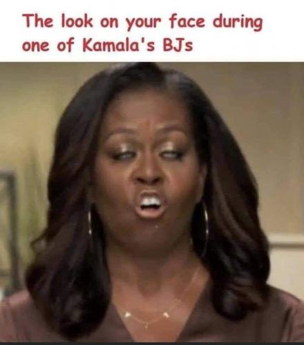 ebd00be635b86cce569b883858e55510_500