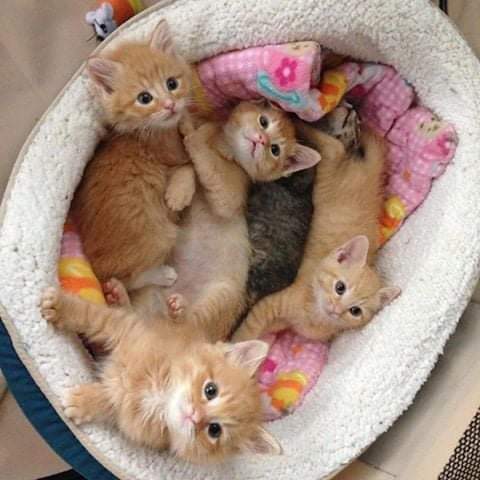 05:50:04 GMT-0700 (MST)