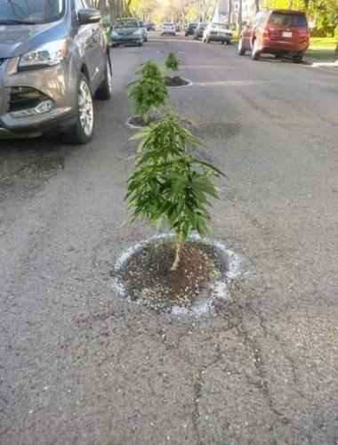 186468654_4071046229605118_3094321887851003454_n