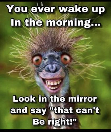 17:17:26 GMT-0400 (EDT)