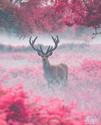 187232328_331972458306434_4279342319016682850_n