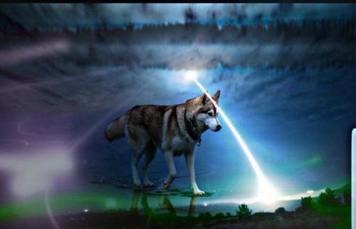 21:17:35 GMT-0500 (CDT)