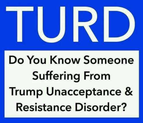 20292965_1941295409427101_6176663202239204377_n