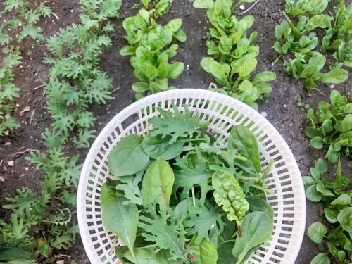 185395401_10158487566818512_554943928349855592_n