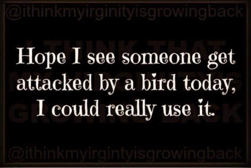 190033692_4380434448655985_2771880970692779579_n