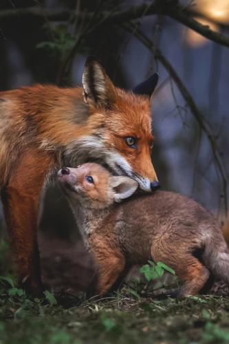 tumblr_puwvysR8eJ1u8wonlo1_540