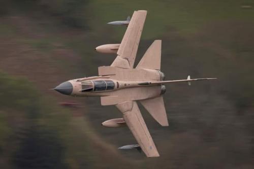 185810466_4015411658545024_2571795628808189733_n