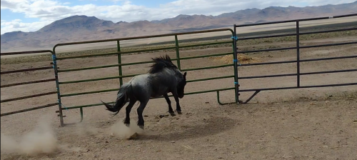 Screenshot_20210510-190841