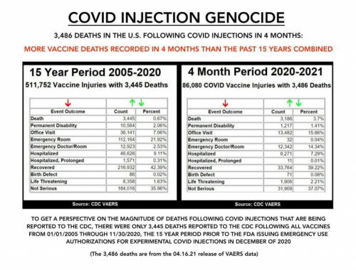 photo_2021-05-02_22-10-52