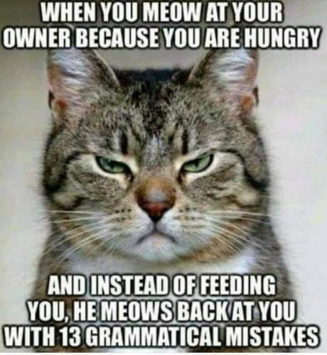 12:40:03 GMT-0400 (EDT)