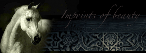 FBook Horse imprint banner