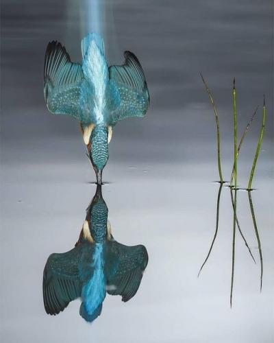 191189416_338086231028390_6107399251890522059_n