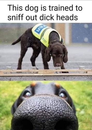 07:41:43 GMT-0400 (EDT)