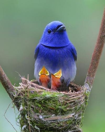 187373065_332787218224958_5702084477700872002_n