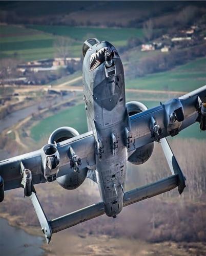 182307346_234184768461902_4964522049164229290_n