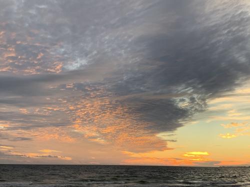 4B28C576-B22B-4698-8F79-2CB3613222FF