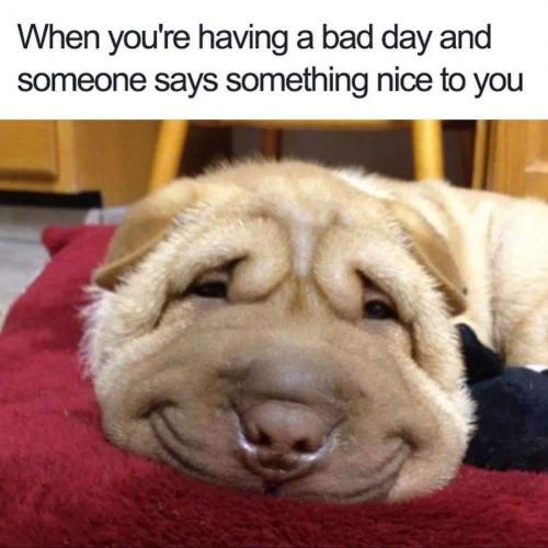 19:35:33 GMT-0400 (EDT)