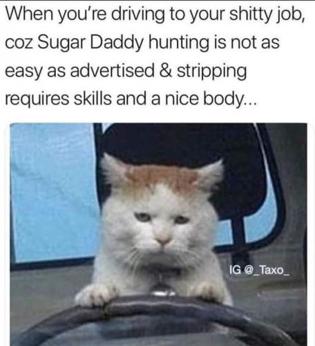 19:16:35 GMT-0400 (EDT)