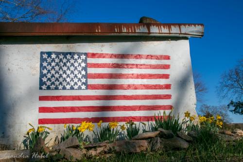 ACC4E214-BA92-4E4D-846C-7F36842E86C9