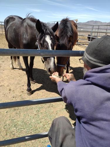 IMG_20210508_120736534