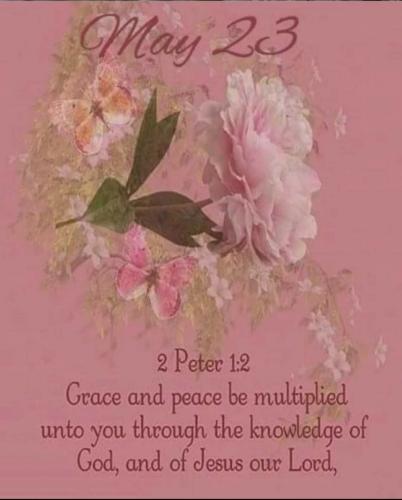 08:02:43 GMT-0500 (CDT)