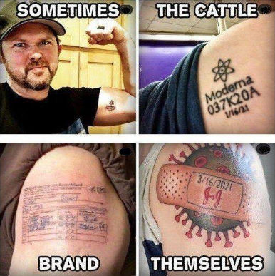 vaccine207