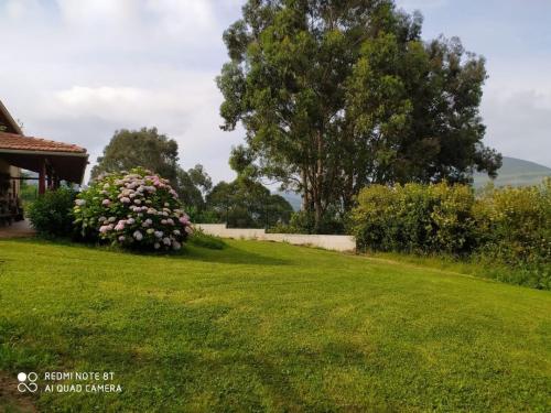 19:48:42 GMT+0100 (WAT)