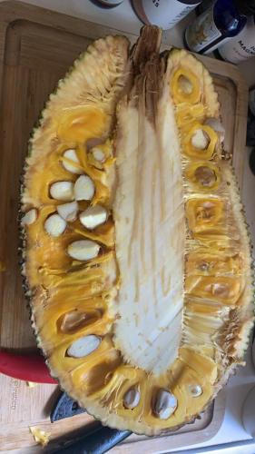 13:42:38 GMT-0500 (CDT).image