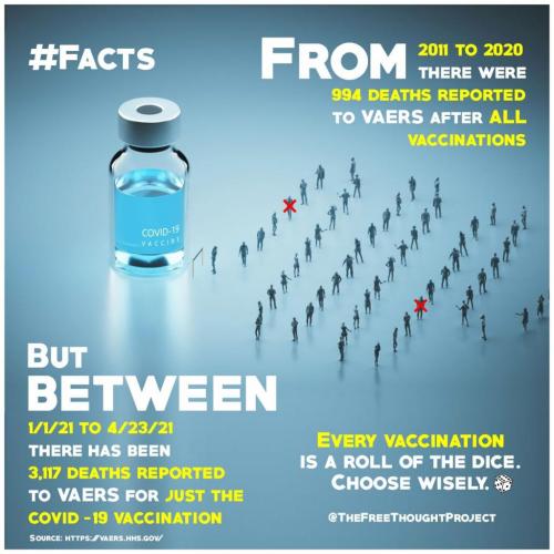 183118611_2538546353119230_7922597748281985260_n