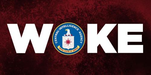 CIA WOKE JOKE