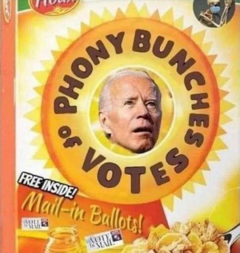 voterfraud161
