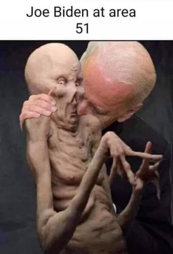 _()_01b
