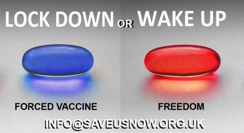 IMG_20201124_202101_220