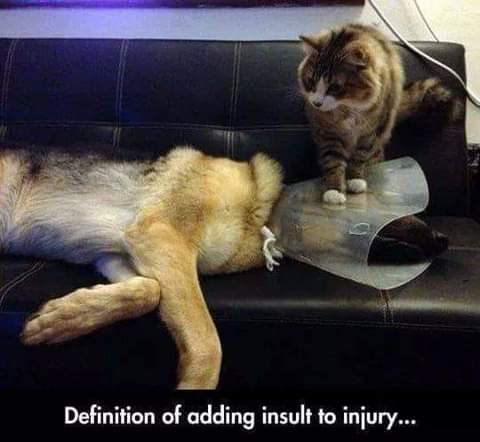 16:21:43 GMT-0700 (PDT)