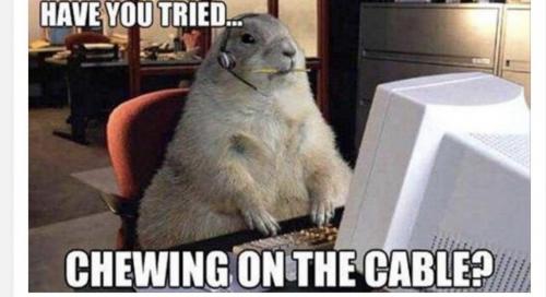 10:00:30 GMT-0400 (EDT)