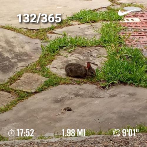 14:00:31 GMT-0500 (CDT)