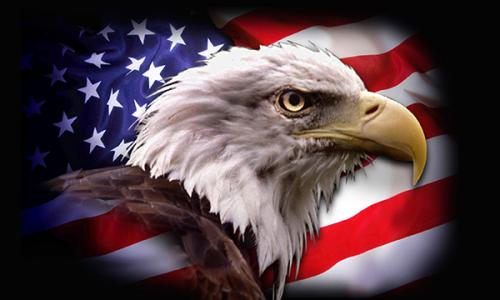 american-eagle-flag-3x5-17