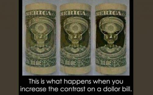 contrasted dollar