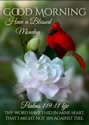 08:16:00 GMT-0500 (CDT)