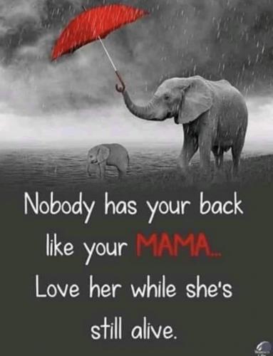 23:48:25 GMT+1200 (NZST).image