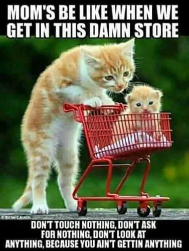 190957828_1434675440217882_3718819052099271945_n