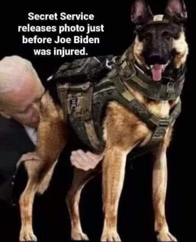 129060053_193633212369999_7880997968086050777_n