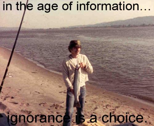in the age of information ignorance is a choice