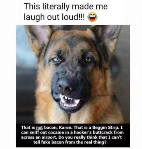 22:37:41 GMT-0700 (PDT).image