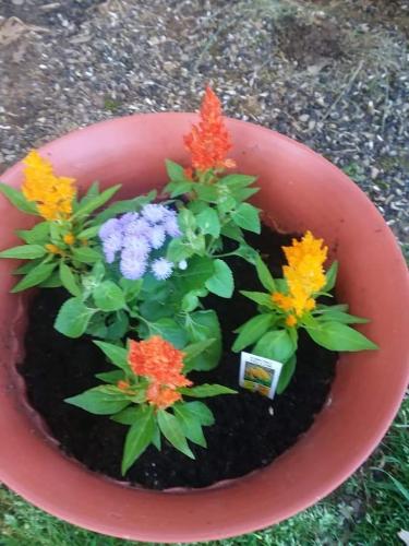 FB_IMG_1620683743342