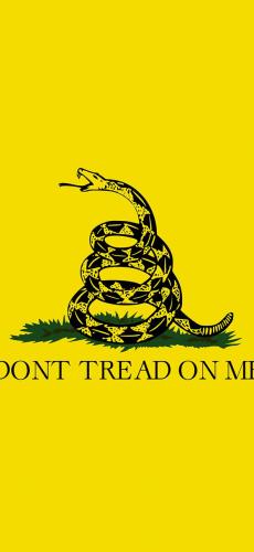 Gadsen_Flag-a78d0c17-58c6-3f26-9753-8b809fe424b7