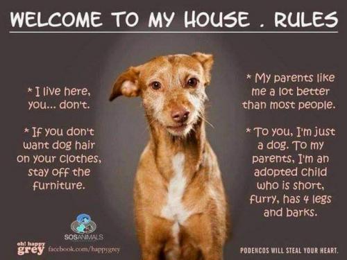 16:08:54 GMT-0400 (EDT)